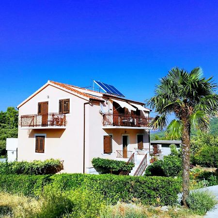 Apartments Vrisnik ييلسا المظهر الخارجي الصورة